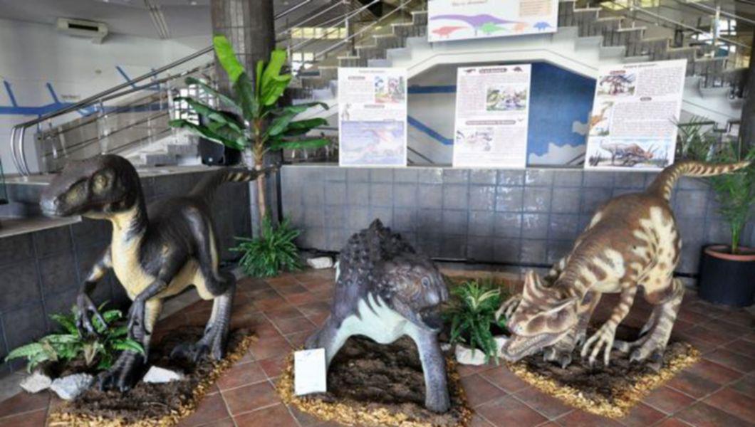 Expozitie De Replici Ale Unor Dinozauri La Complexul Muzeal De Stiintele Naturii Atractia Expozitiei Este Pteranodon O Specie De Dinozaur Zburator Bzi Ro