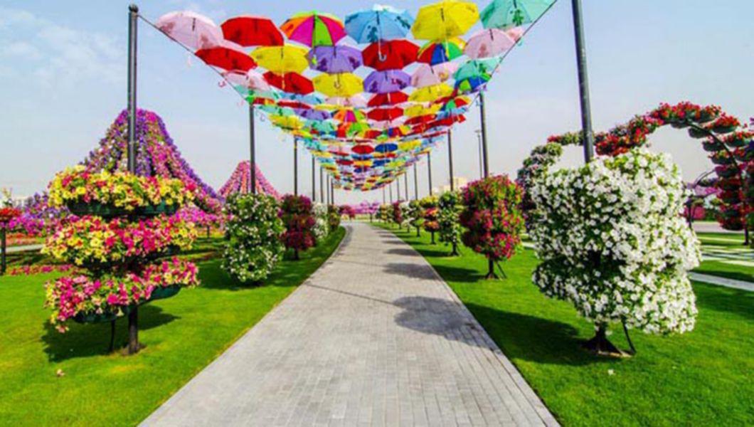 In Dubai S A Deschis Cea Mai Mare Gradina Cu Flori Naturale Din