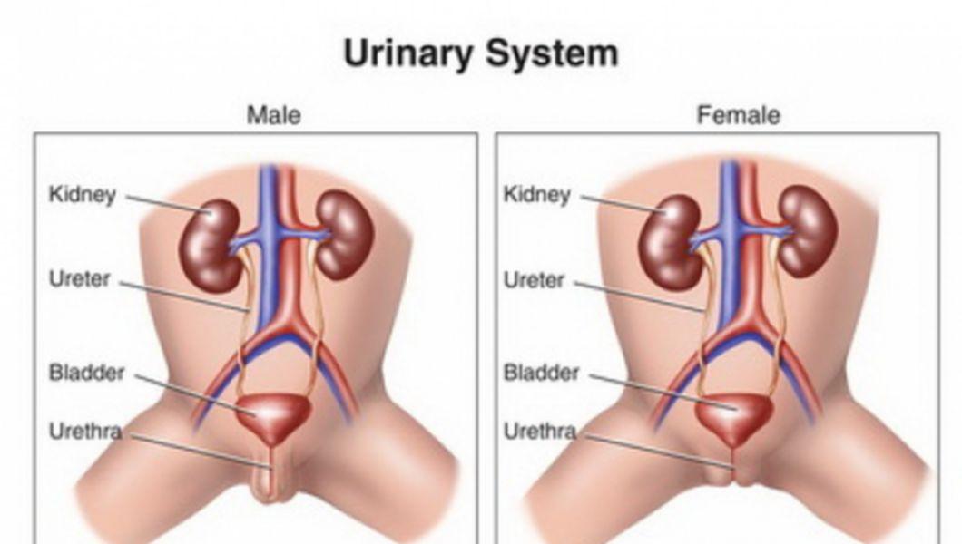 uretrita complicație a prostatitei