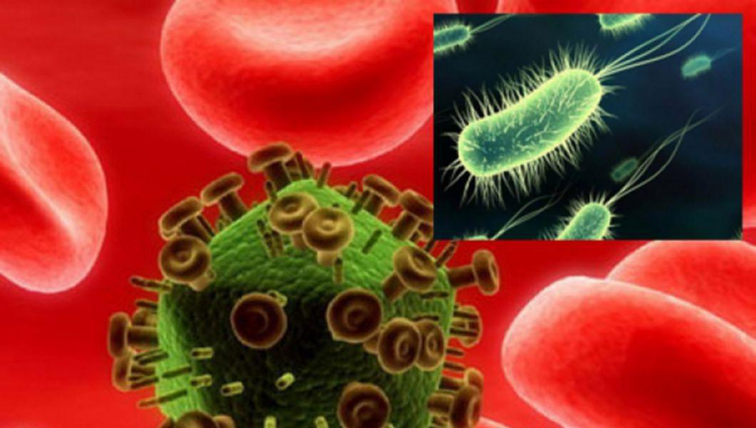 Ghidul microbilor - cum sa ne ferim de virusuri, ciuperci, bacterii si paraziti