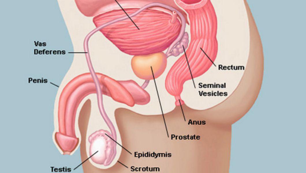 cauza prostatitei renale poate doare stomacul cu prostatita