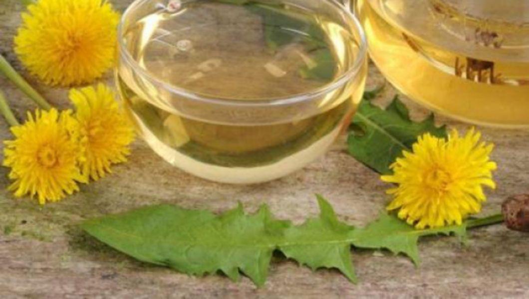 Ceaiul De Radacina De Papadie Ajuta La Imbunatatirea Functiei