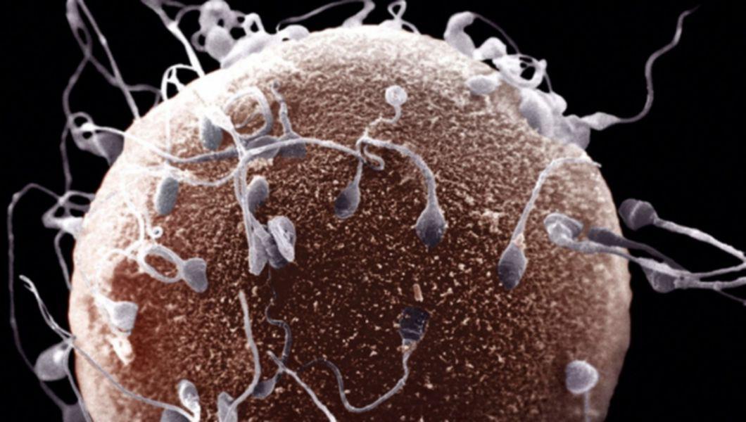 fapt anti-imbatranire a spermei