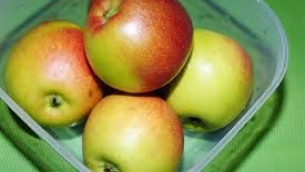 Marul O Adevarata Magazie De Vitamine Si Minerale Bzi Ro