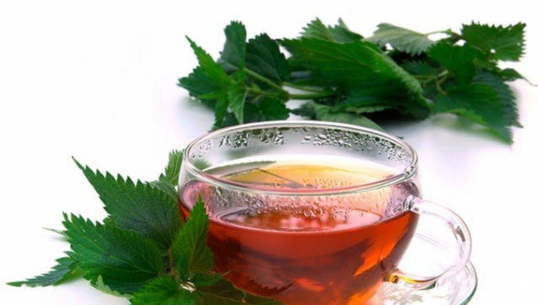 Ceaiul de urzică - Un ceai revigorant care ajută la detoxifierea organismului