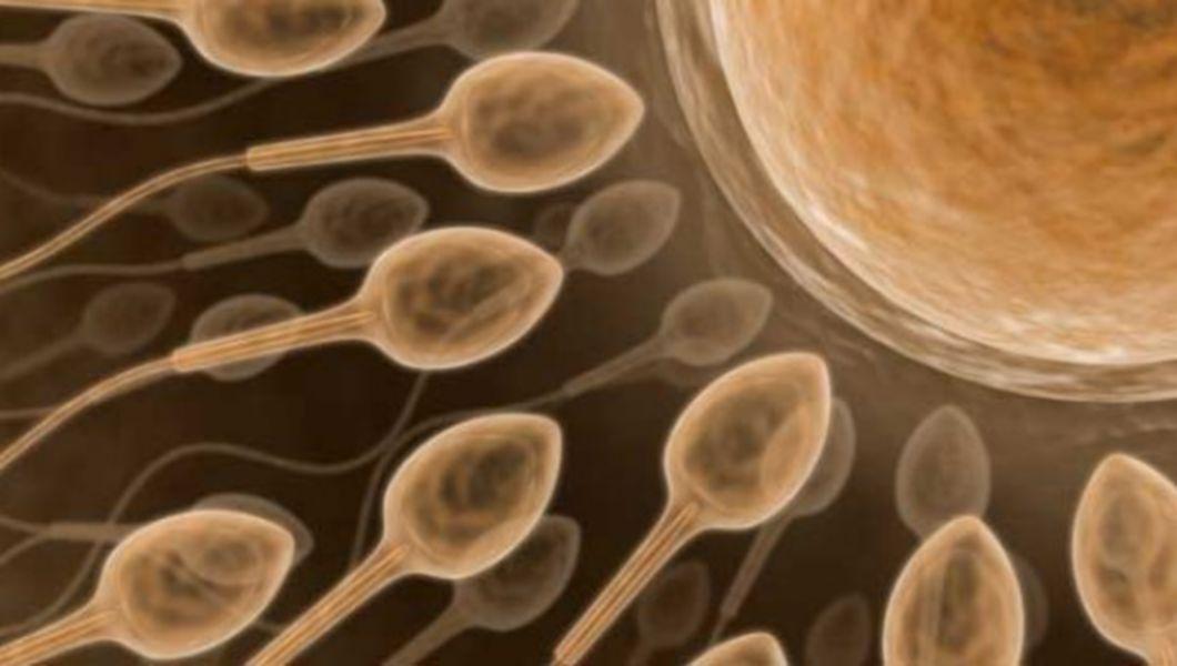 sperma anti-imbatranire
