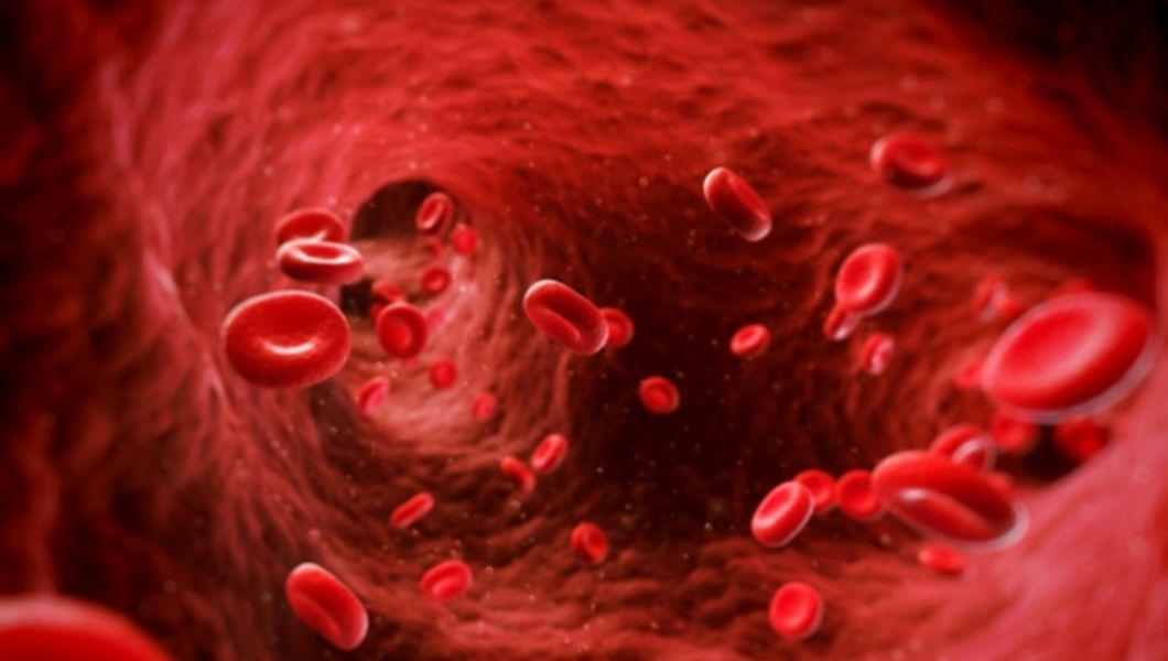 Hemoglobina Mica Ce Boli Duc La Scaderea Acesteia Buna Ziua Iasi Bzi Ro