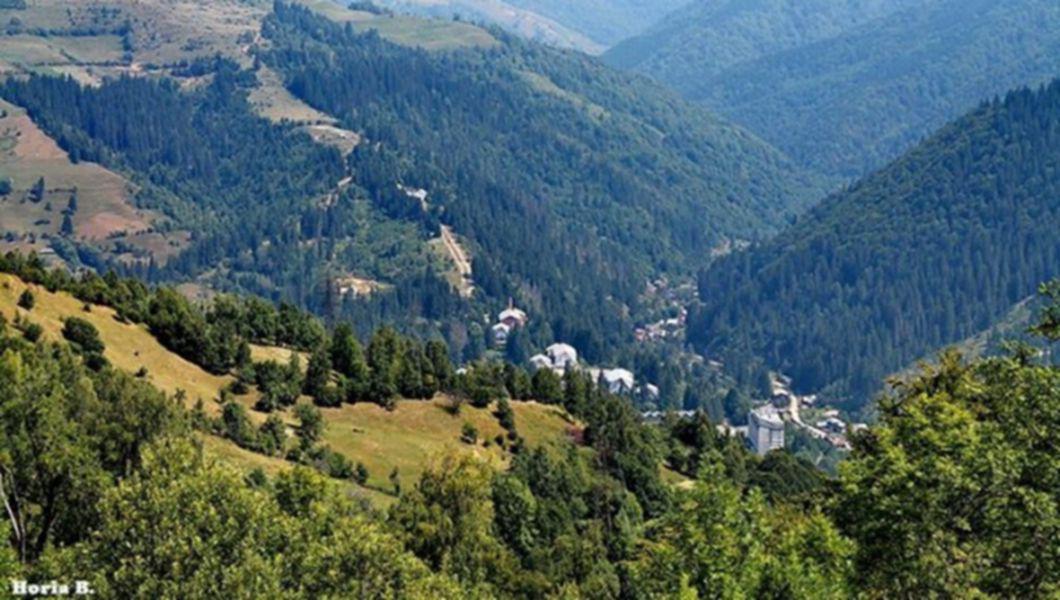Statiunea Obarsia Lotrului Muntii Lotrului Foto Bzi Ro