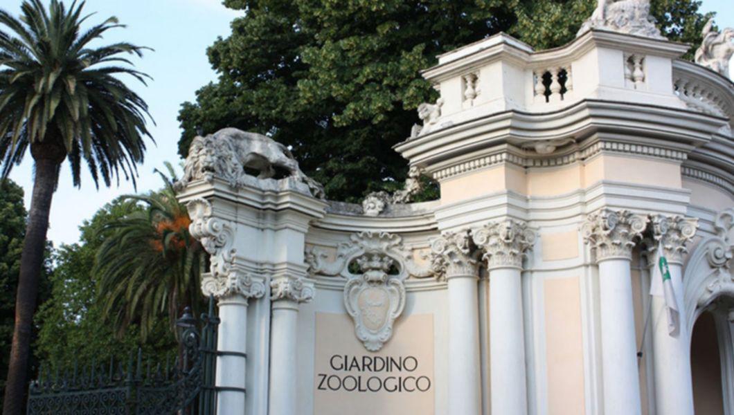 Gradina Zoologica Din Roma Bzi Ro