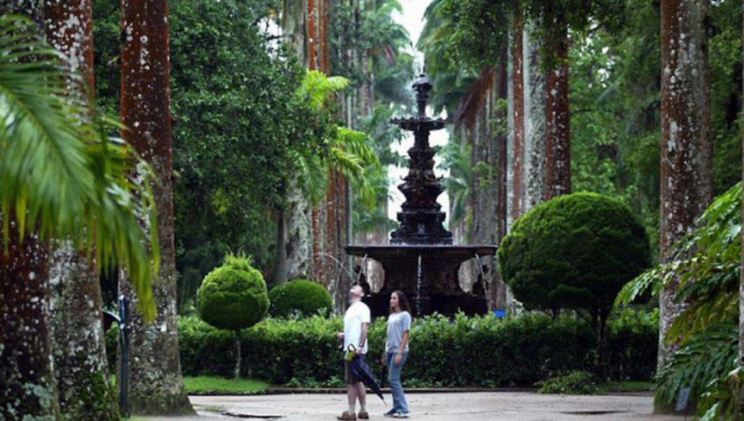 Gradina Botanica Din Rio De Janeiro Bzi Ro