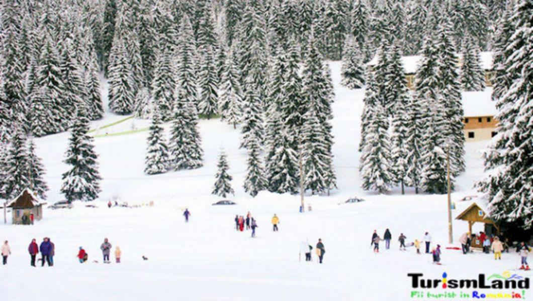 Partia De Ski Stana De Vale Bihor Bzi Ro