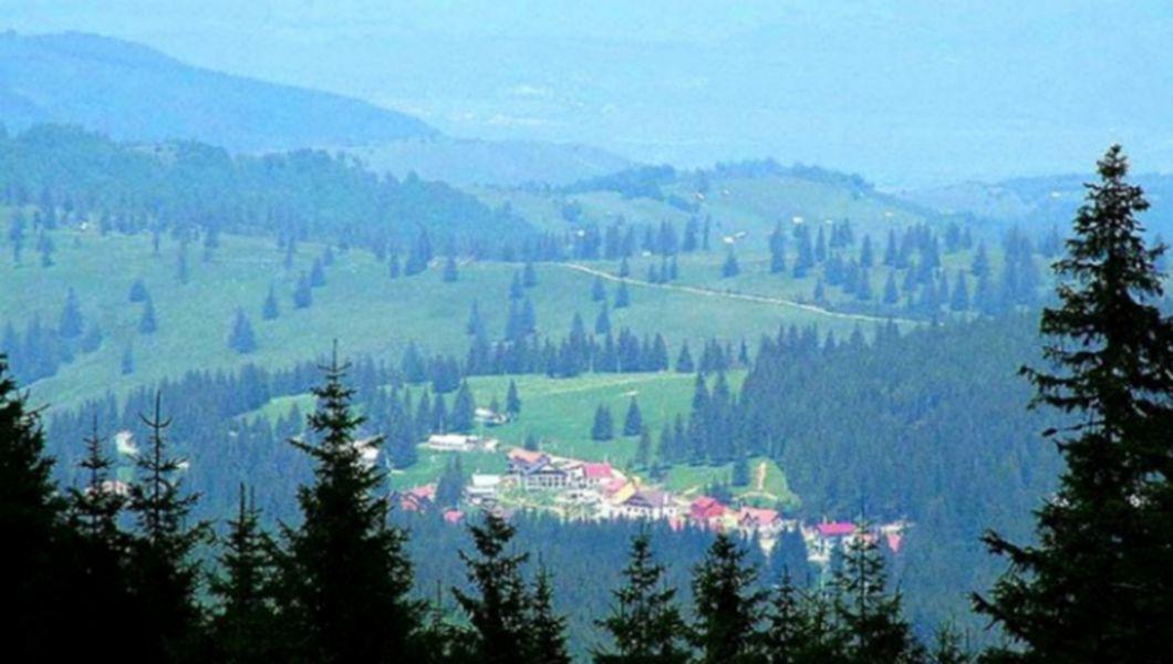 Statiunea Paltinis Sibiu Bzi Ro
