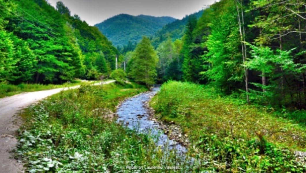 Parcul National Buila Vanturarita Cel Mai Mic Dintre Parcurile Nationale Ale Romaniei Video Bzi Ro