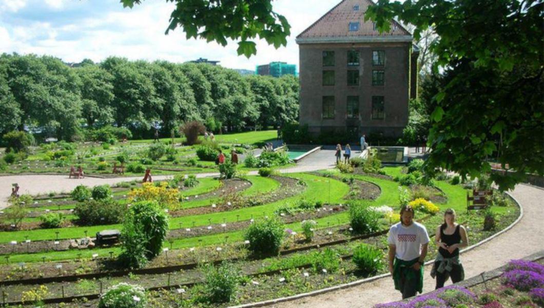 Gradina Botanica Din Oslo Bzi Ro
