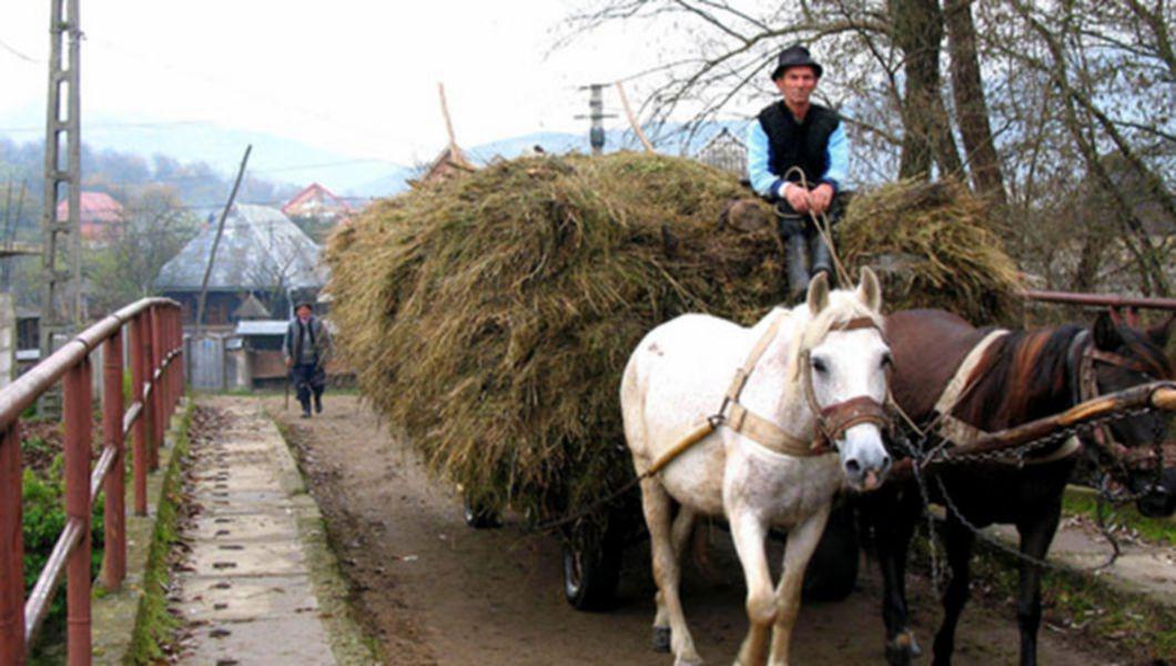 Romania Rurala Cu Peste 10 000 De Sate Si 9 Milioane De Locuitori Are Un Potential De Dezvoltare Insuficient Explorat Bzi Ro