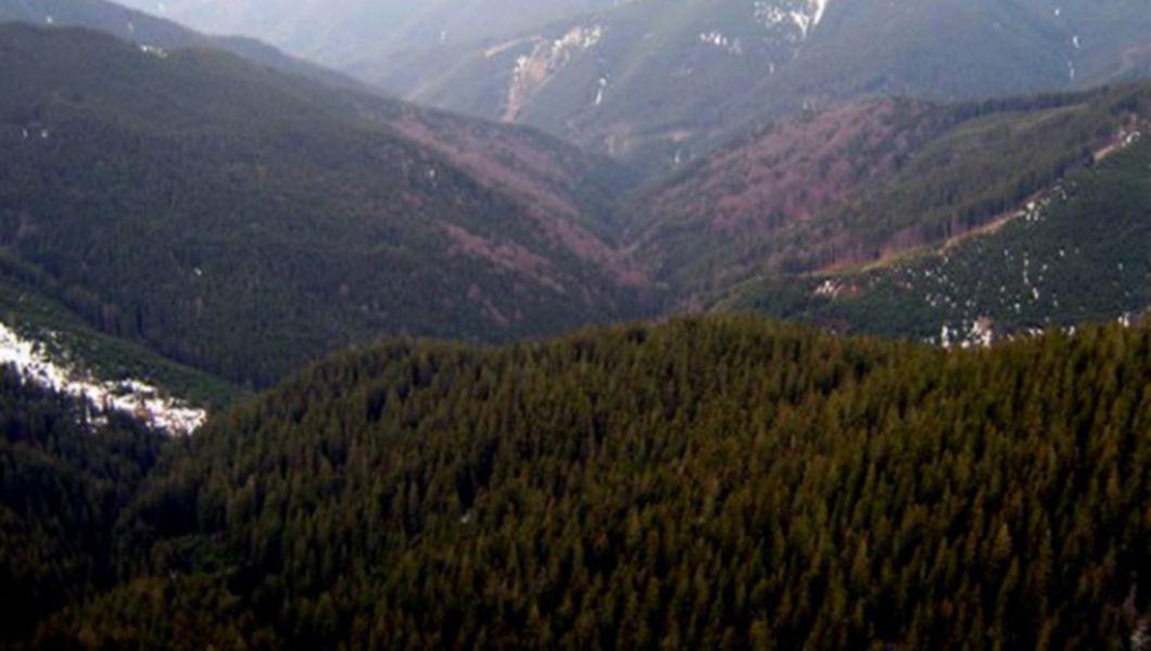 Aria Protejata Piatra Pinului Si Piatra Soimului Judetul Suceava Buna Ziua Iasi Bzi Ro