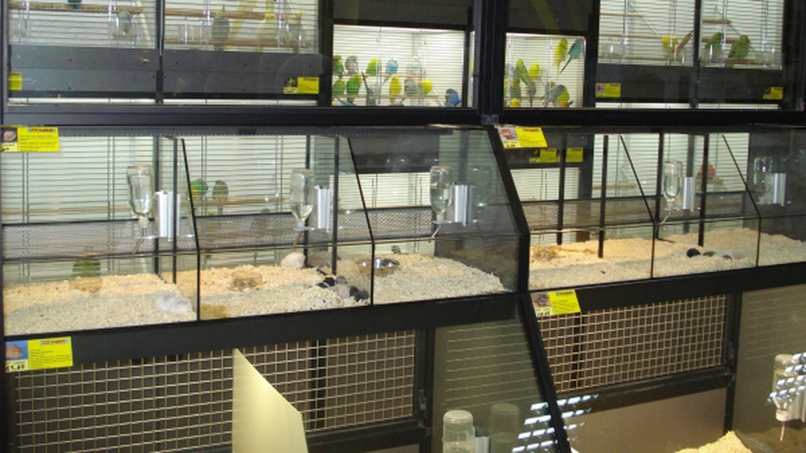 In Iulius Mall s-a deschis primul supermarket de tip petshop din Iasi