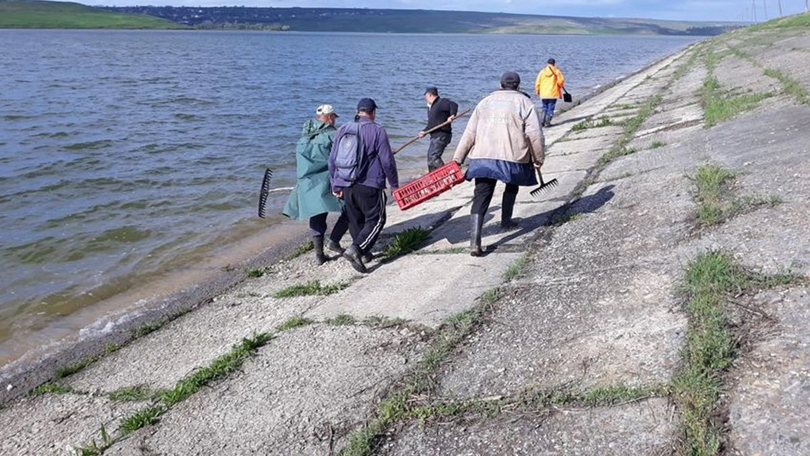 A.B.A. Prut-Barlad: Mortalitate piscicola in acumulare Tansa-Belcesti din Judetul Iasi