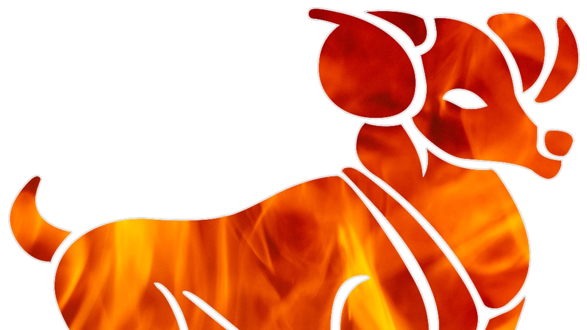 “Nu te certa cu el – este inutil!