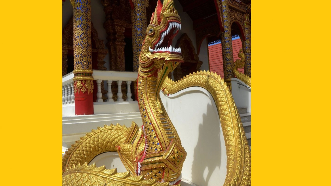 Horoscop chinezesc Anul Sarpelui. Cum sunt persoanele nascute in Anul Sarpelui