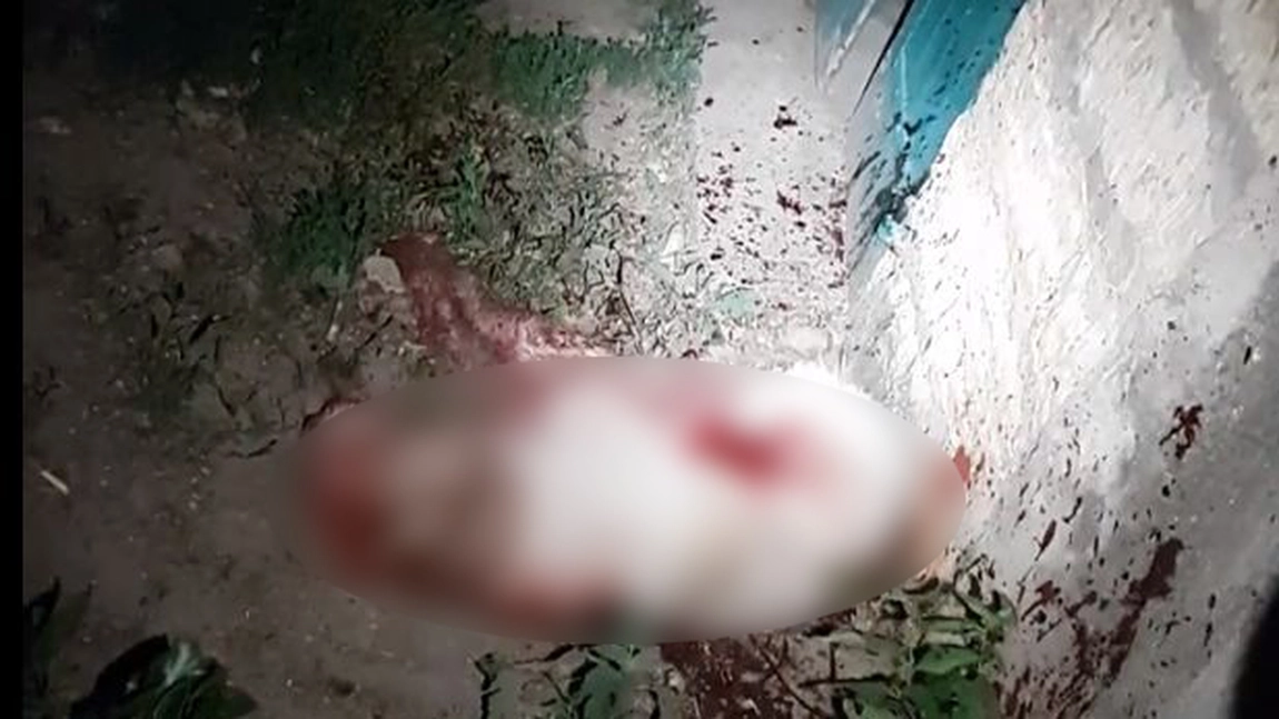 Exclusiv/Update! Imagini socante la Iasi! Caine omorat cu bestialitate de un barbat. A fost lovit o cu o sapa - VIDEO