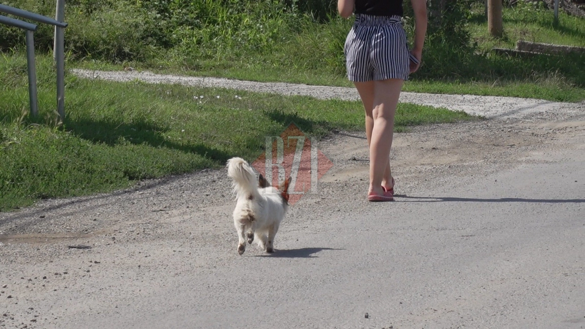 Exclusiv! Minora dintr-un centru de plasament din Iasi, marioneta sexuala a unui preot! I-a trimis filmulete si poze deocheate pe retelele de socializare. S-au facut descinderi si intr-o biserica! - UPDATE,VIDEO