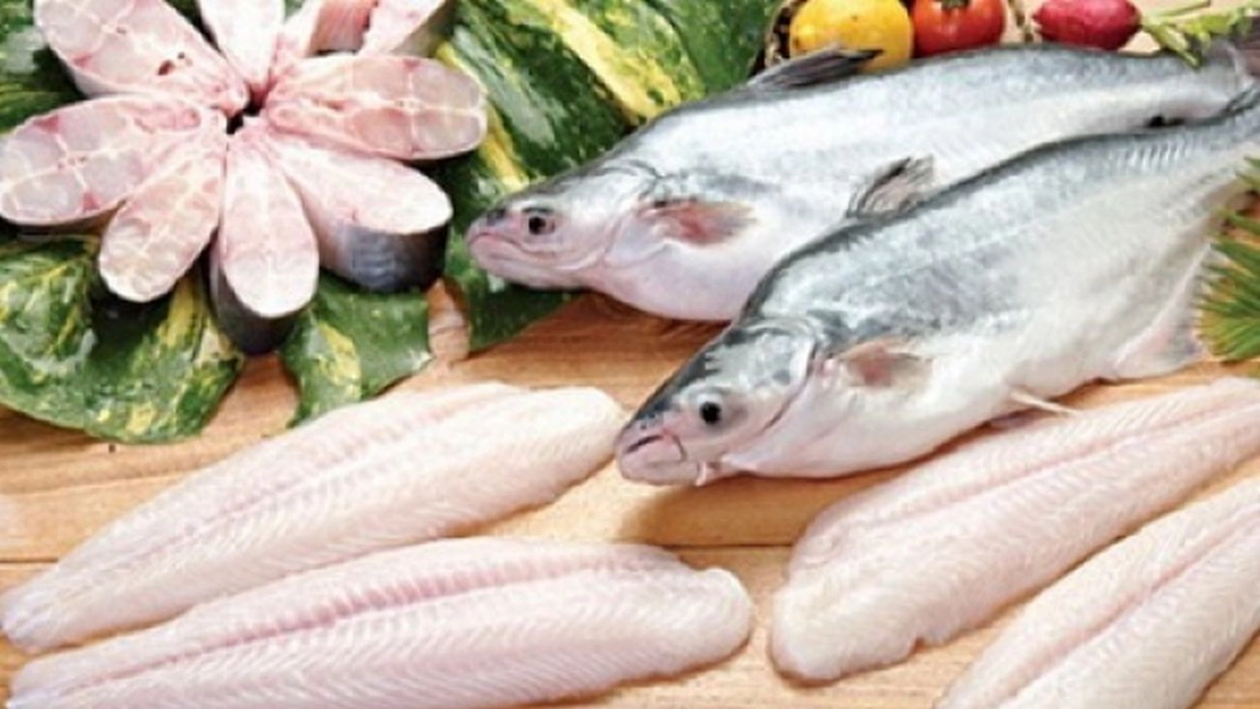 Adevarul despre pestele Pangasius! De ce este acesta extrem de daunator sanatatii?