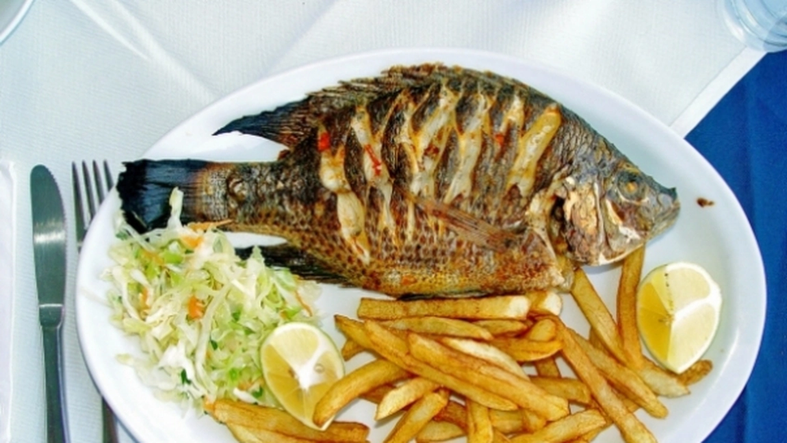 Este unul dintre cei mai DELICIOSI pesti din lume! Toti cei care il mananca patesc insa ASTA