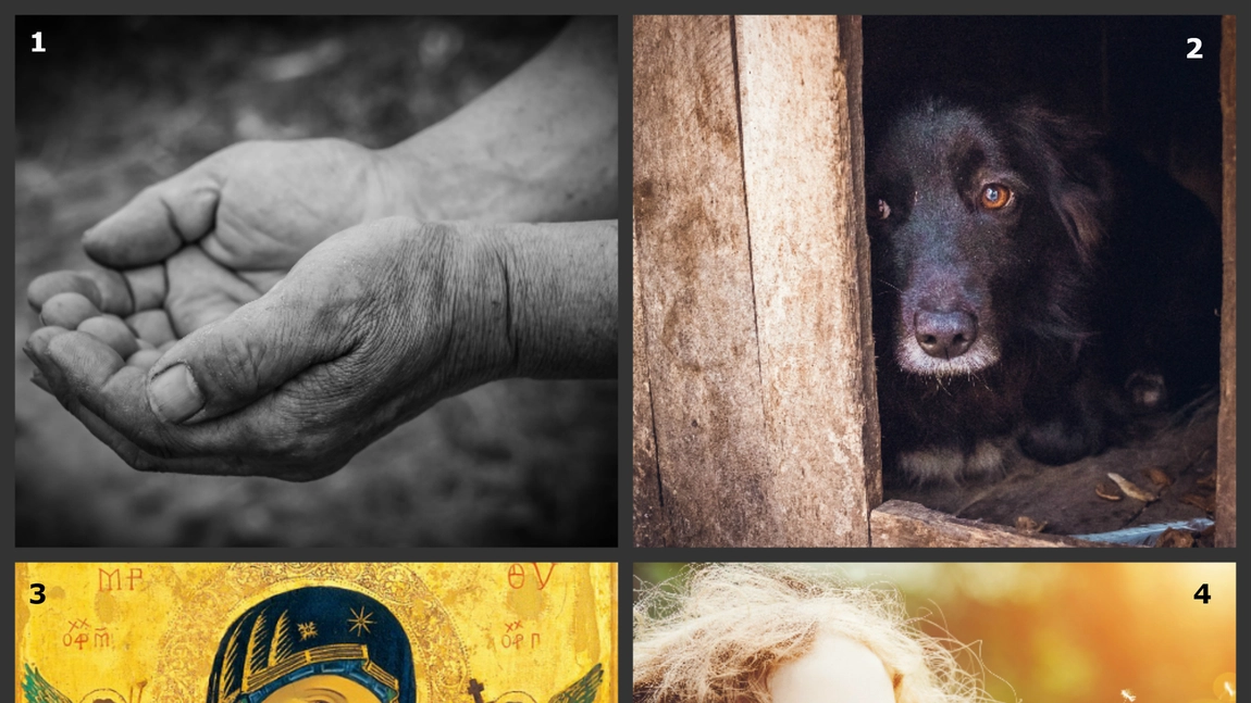 Testul care iti spune daca esti un OM BUN