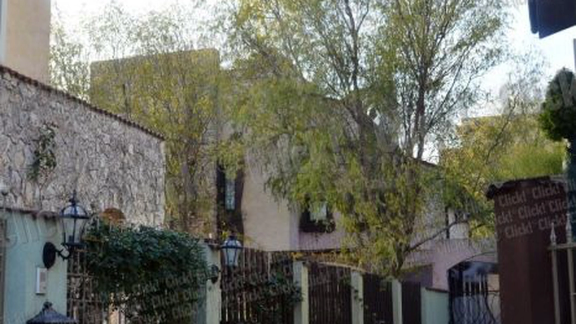 Cum arata PALATUL in care locuieste Loredana Groza
