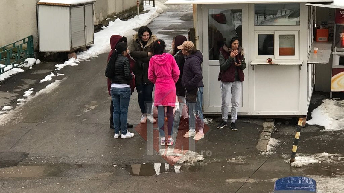Exclusiv/Update! Perchezitii de amploare la Iasi! Zece tineri au fost arestati - FOTO, VIDEO