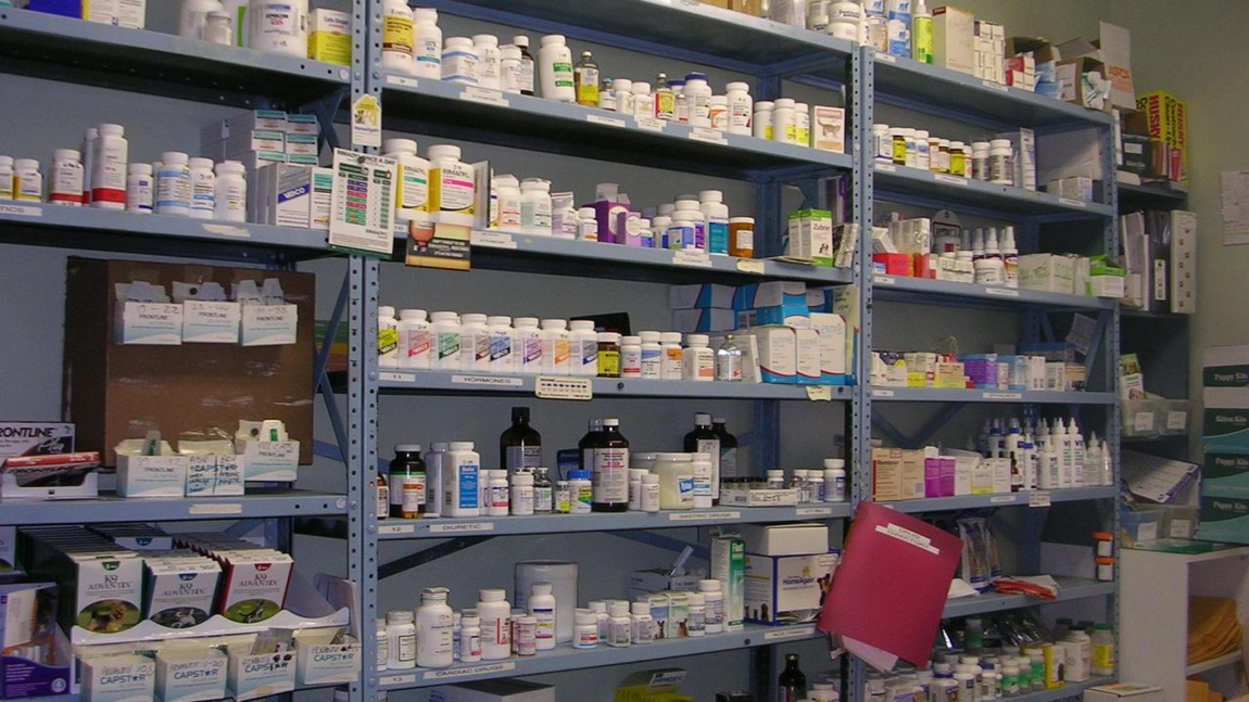 Românii se vor putea testa pentru Covid-19 în farmacii. 