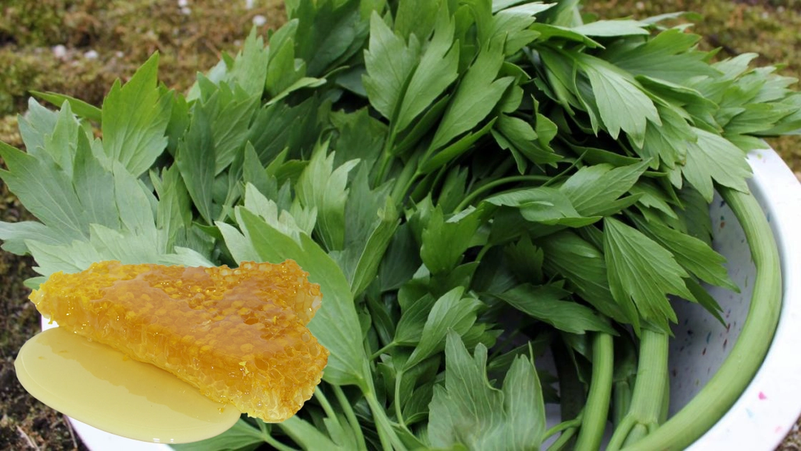 Amesteca leustean cu miere si consuma-l cat mai des! Iata ce beneficii are pentru sanatate