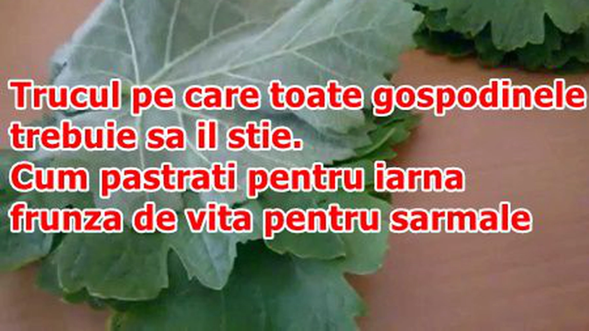 Trucul pe care orice gospodina trebuie sa-l afle. Uite asa se pastreaza pe iarna frunzele de vita-de-vie pentru sarmale