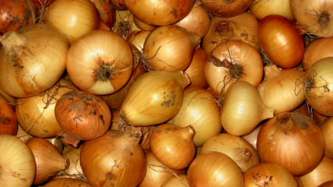 Cum se pastreaza ceapa pe iarna