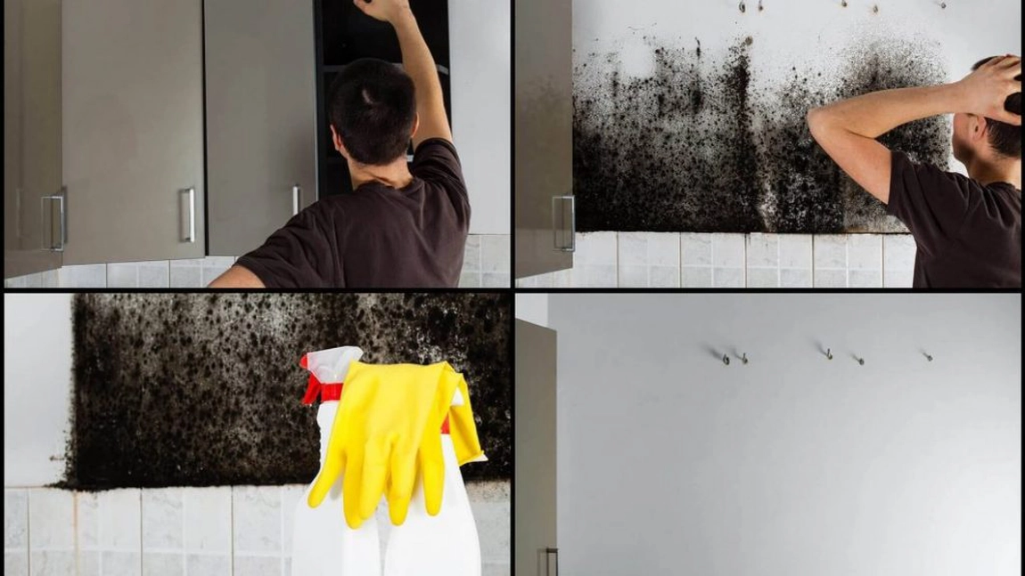 Cum scapi de mucegaiul din casa - Sfaturi pentru prevenire si combatere