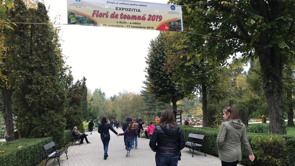 Este incredibil! Acesta este locul din Iași unde, în două zile, au fost peste 20 de mii de oameni - FOTO