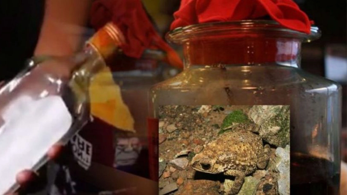 Un nou drog face ravagii în lume