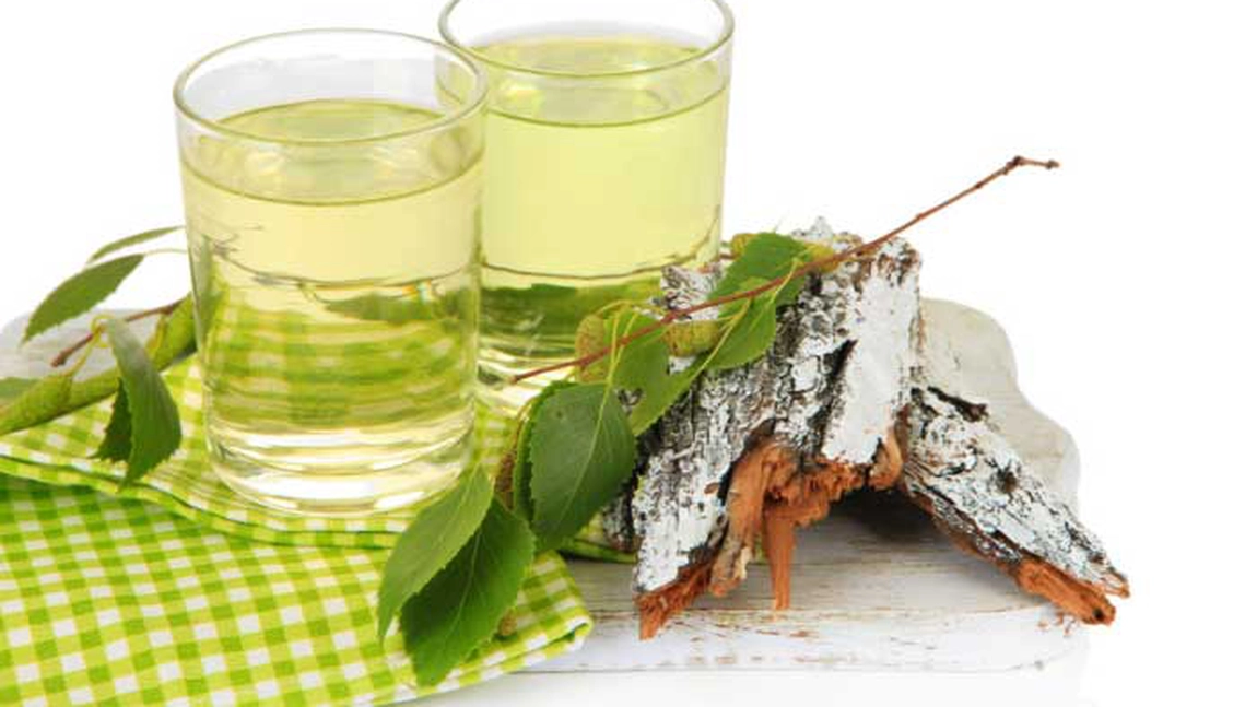 Ceai de mesteacan - La ce este bun