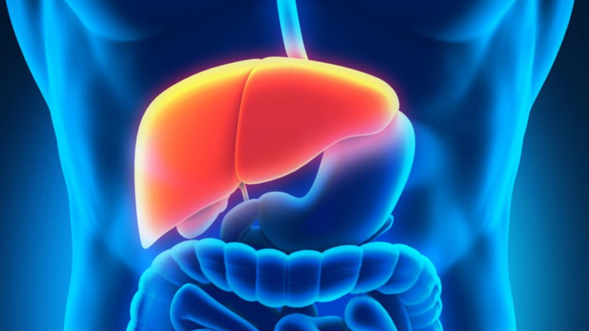 Semne ca ficatul e plin de toxine. Duce la cresterea in greutate