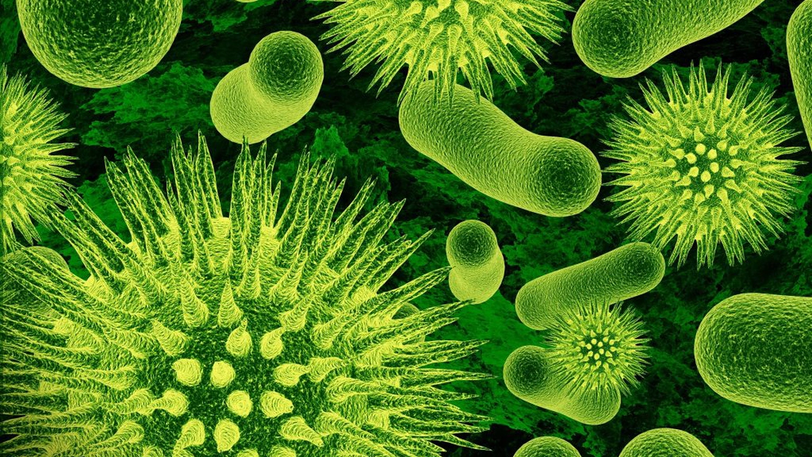 Virusuri si bacterii. Cat timp pot supravietui in afara organismului