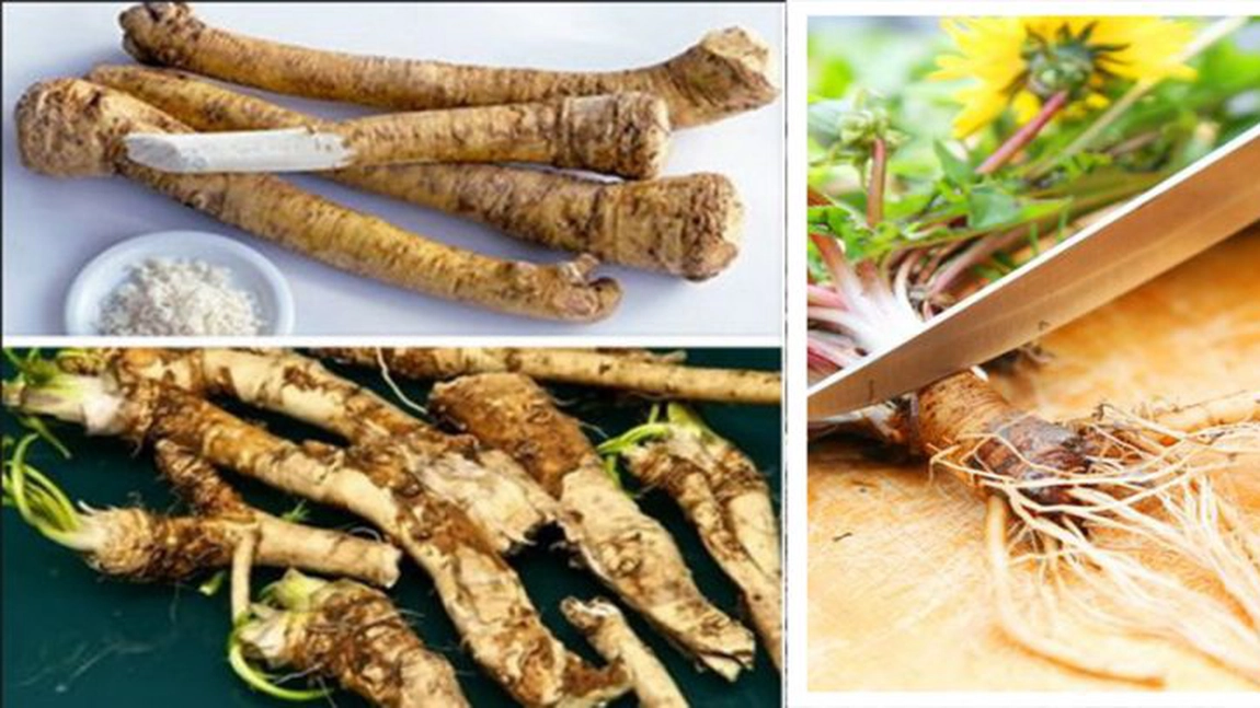 Hreanul şi păpădia te ajută să dai jos kilogramele în plus. Iată cum se prepară