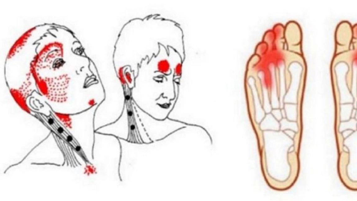 Lipsa vitaminei B12 creşte riscul de Alzheimer! Cum o recunoşti şi ce trebuie să faci