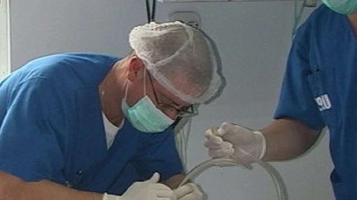 Avertismentul medicului Tudor Ciuhodaru: Intoxicația cu ciuperci poate fi mortală