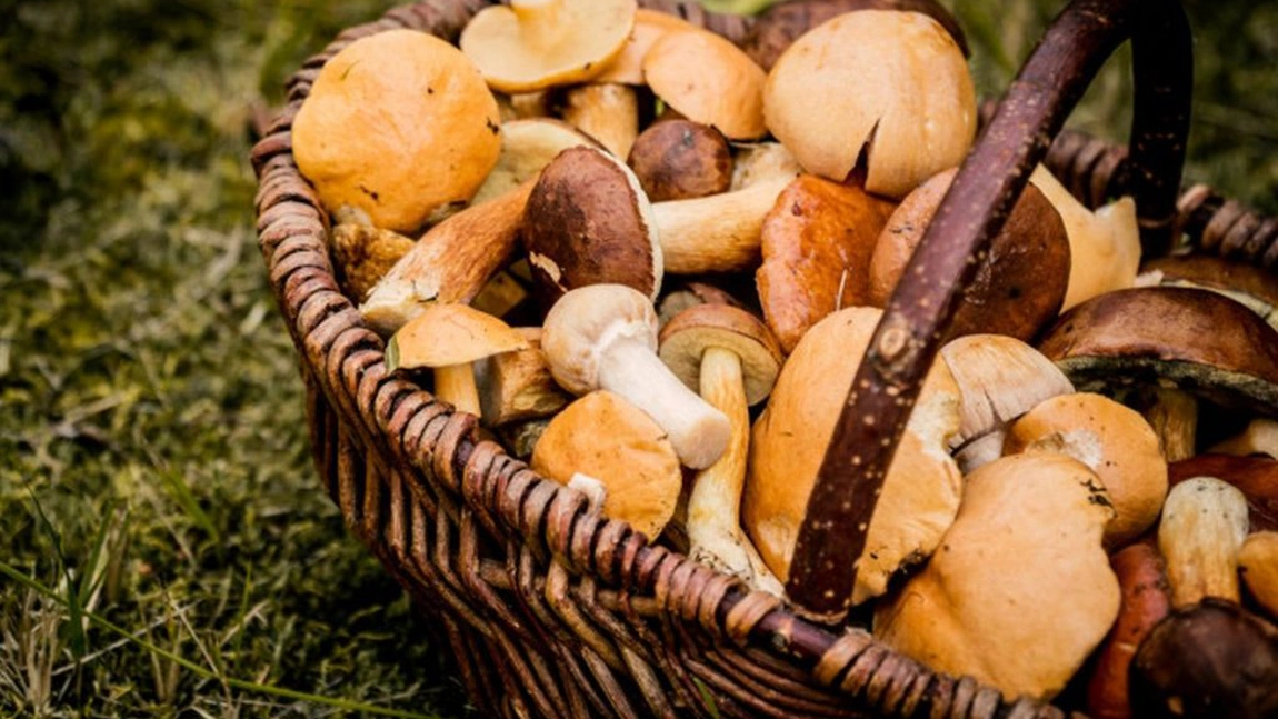 Copil intoxicat cu ciuperci, adus cu avionul SMURD la Iași