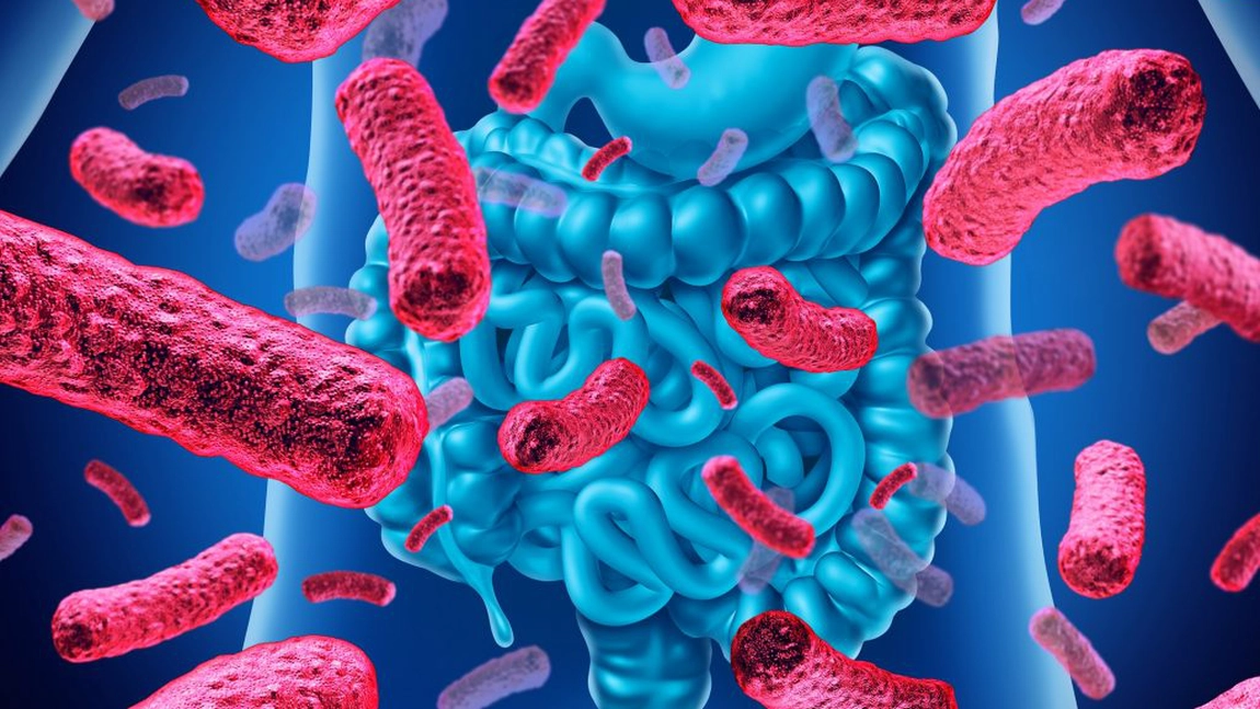 Clostridium difficile, bacteria invincibila. Cum se manifesta infectia