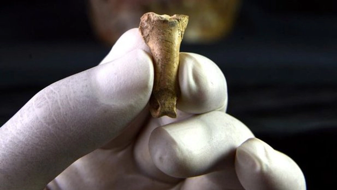 Descoperire neaşteptată făcută de arheologi în Spania