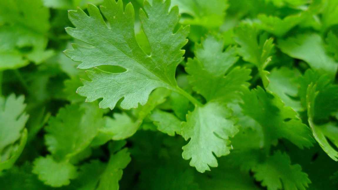 Contine mai mult fier decat spanacul! Aliment banal, care costa doar 1 leu, ajutor de nadejde in lupta cu hepatita B si C