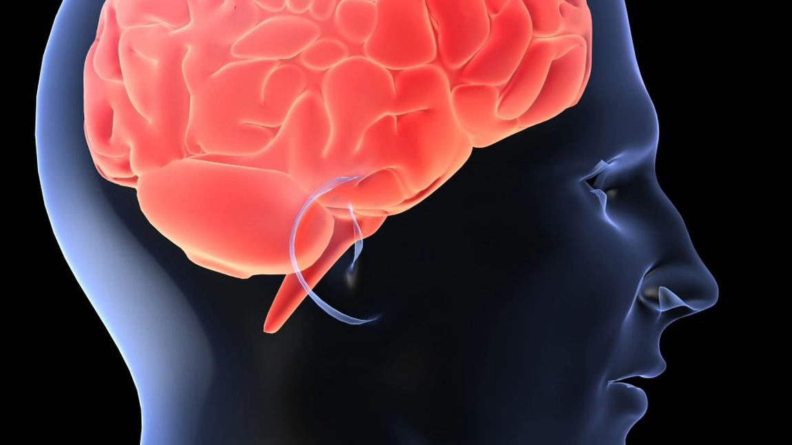 Cauzele aparitiei epilepsiei