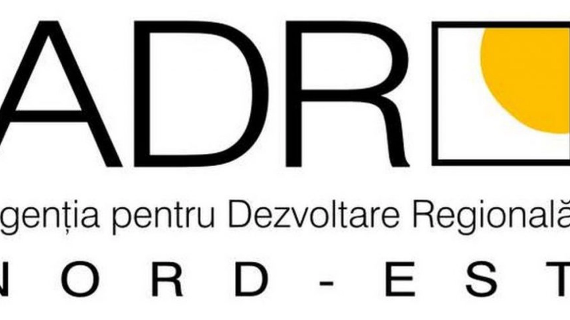 Program pentru o gestionare mai eficientă a fondurilor europene, la instituțiile publice